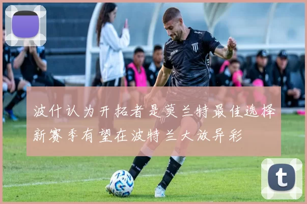 波什认为开拓者是莫兰特最佳选择新赛季有望在波特兰大放异彩